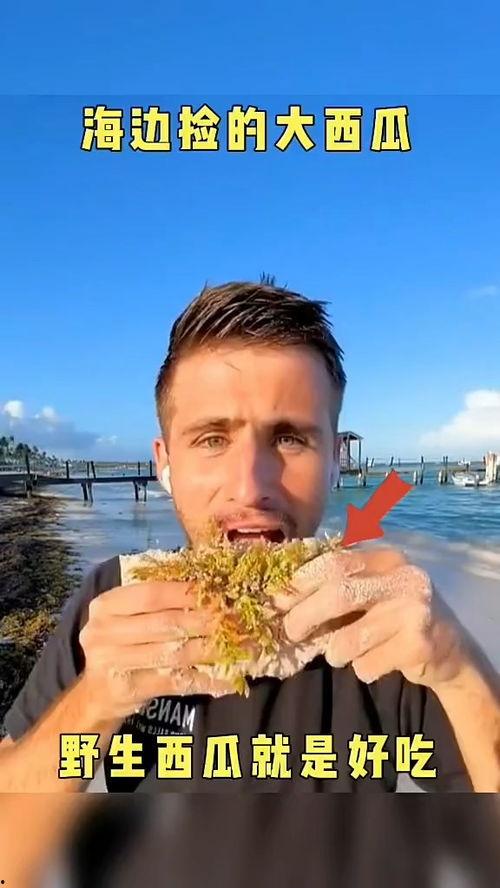 娱乐吃瓜配音视频大全,全网热门娱乐吃瓜配音视频大盘点