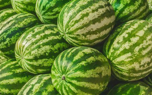 吃瓜每日大赛在线观看视频下载,在线观看与视频下载，一网打尽热门瓜料