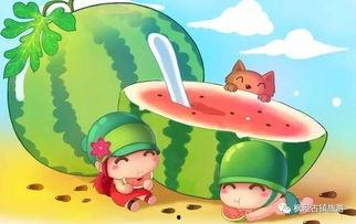 娱乐吃瓜兔子小说在线阅读