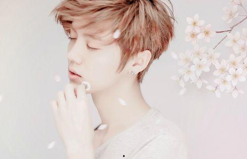 娱乐圈吃瓜主播鹿晗长视频,娱乐圈幕后故事大公开